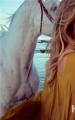 Chlo��2015���Ĵ�Ƭ �غ�Chlo��2015���Ĵ�Ƭ �غ���������