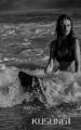 Dicker Swimwear 2015Ӿװ����Ƭ