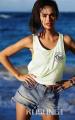 ά�����ǵ������Ƴ�����2015����ϵ��LookBook