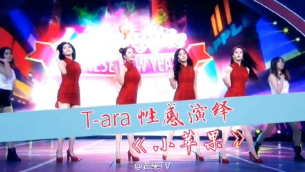 ӴŮųСƻع T-ara⼮й