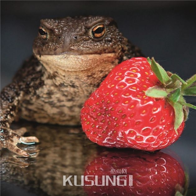 ݱ༭ƼĤɣ