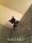 ���Ƕ��Ǳ�ƭ��ģ�7������͸����׵ġ���ѧ���ԡ�