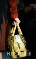 Bottega Veneta��ϸ��֮�� ���µ���