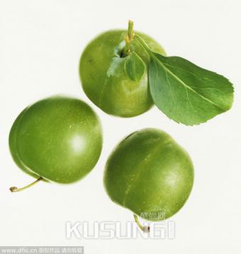 7����ζ��ʳ����ּ���