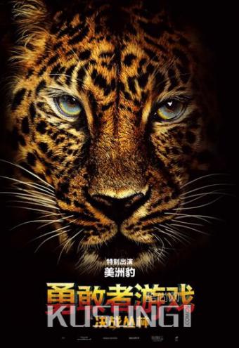 ���¸�����Ϸ����ս���֡������ؼ� ��ʯǿɭ���ش���ð��֮��