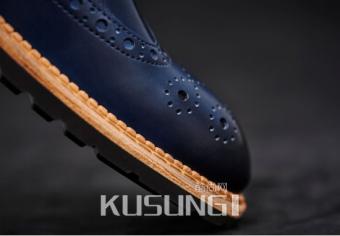 ECCOΨ;ϵ��ȫ�������淢��